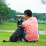 dogwhisperer